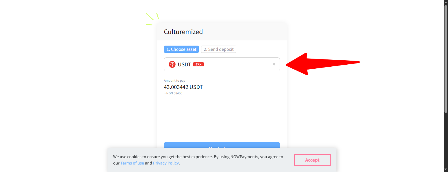Pay With Crypto on Culturemized: Step-by-Step Guide (2026) - Choose Crypto type