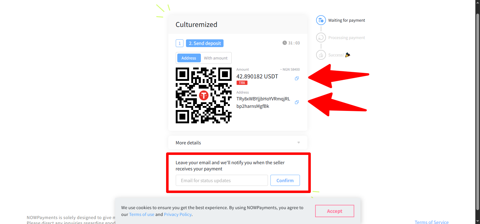 Pay With Crypto on Culturemized: Step-by-Step Guide (2026) - Copy exact amount and adress